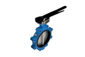 Butterfly Valve
