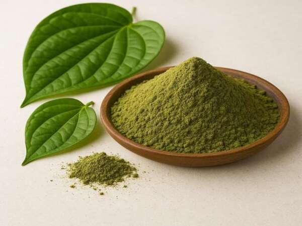 Betel Leaf Powder