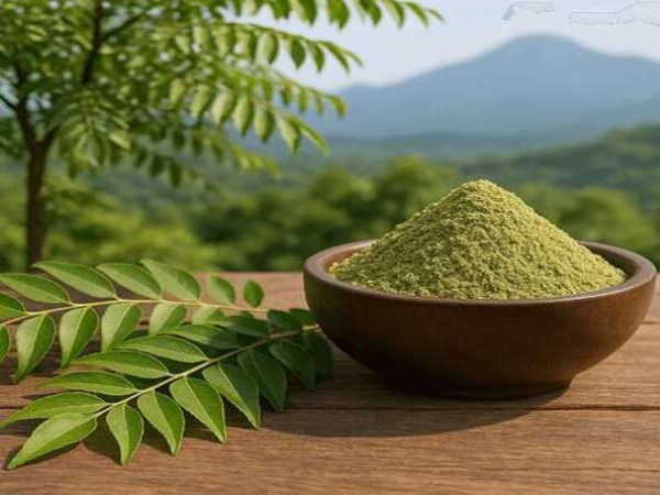 Curry Leaf Powder