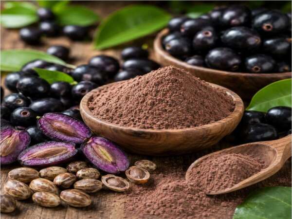 Jamun Fruit Powder