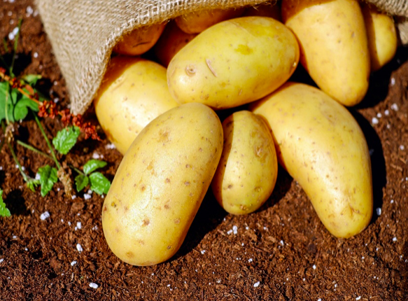 Potatoes