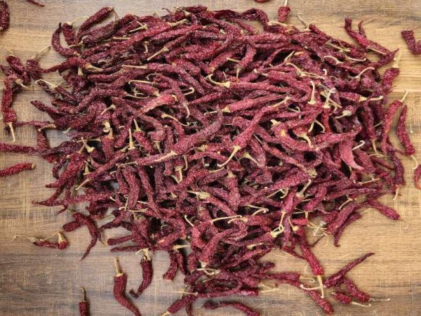 Byadgi KDL Red Chilli